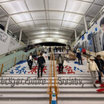 Expo 2025 Osaka Kansai Japan | Turista Boy